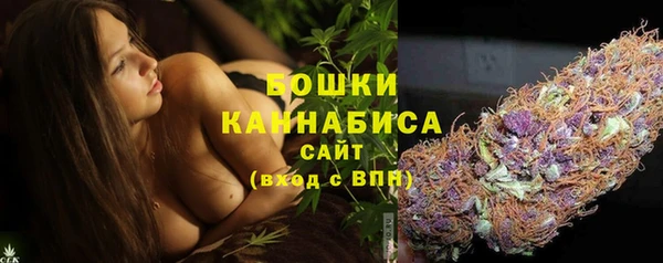 дживик Белокуриха
