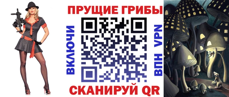 купить наркотик  Семилуки  Галлюциногенные грибы Magic Shrooms 
